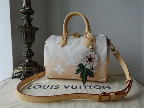 lucchetto speedy 25 louis vuitton|Louis Vuitton handbags.